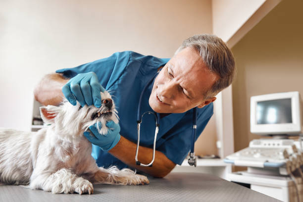Best Emergency Treatment for Oral Infections in Chesterland, OH